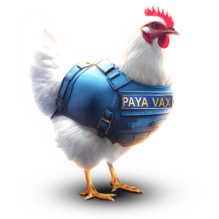 About Paya Vaccine