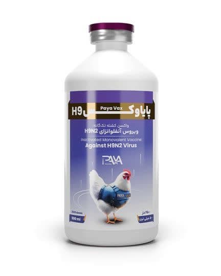 پایاوکس H9
