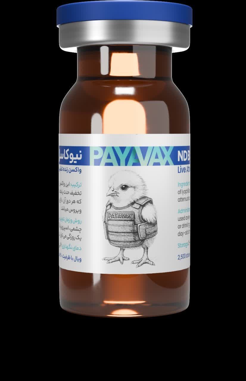 پایاوکس B1