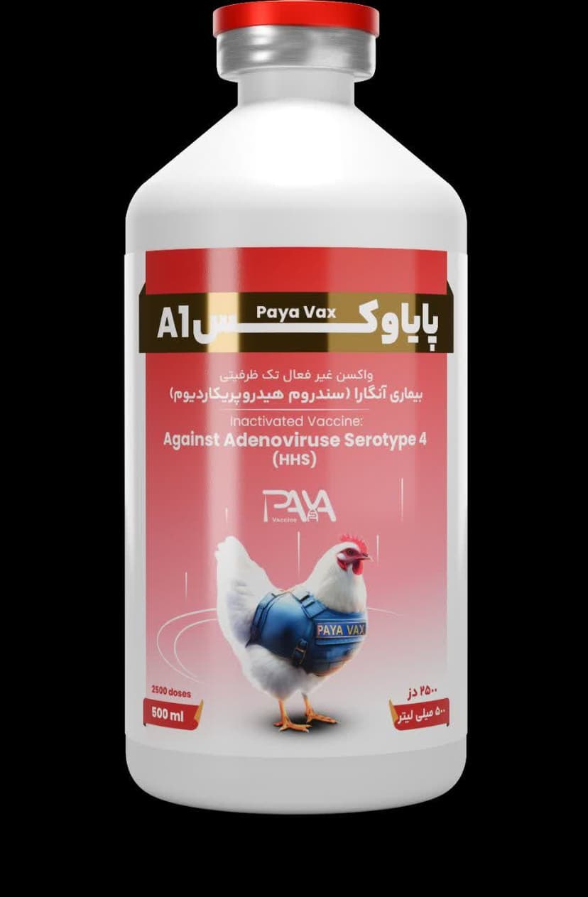 پایاوکس A1