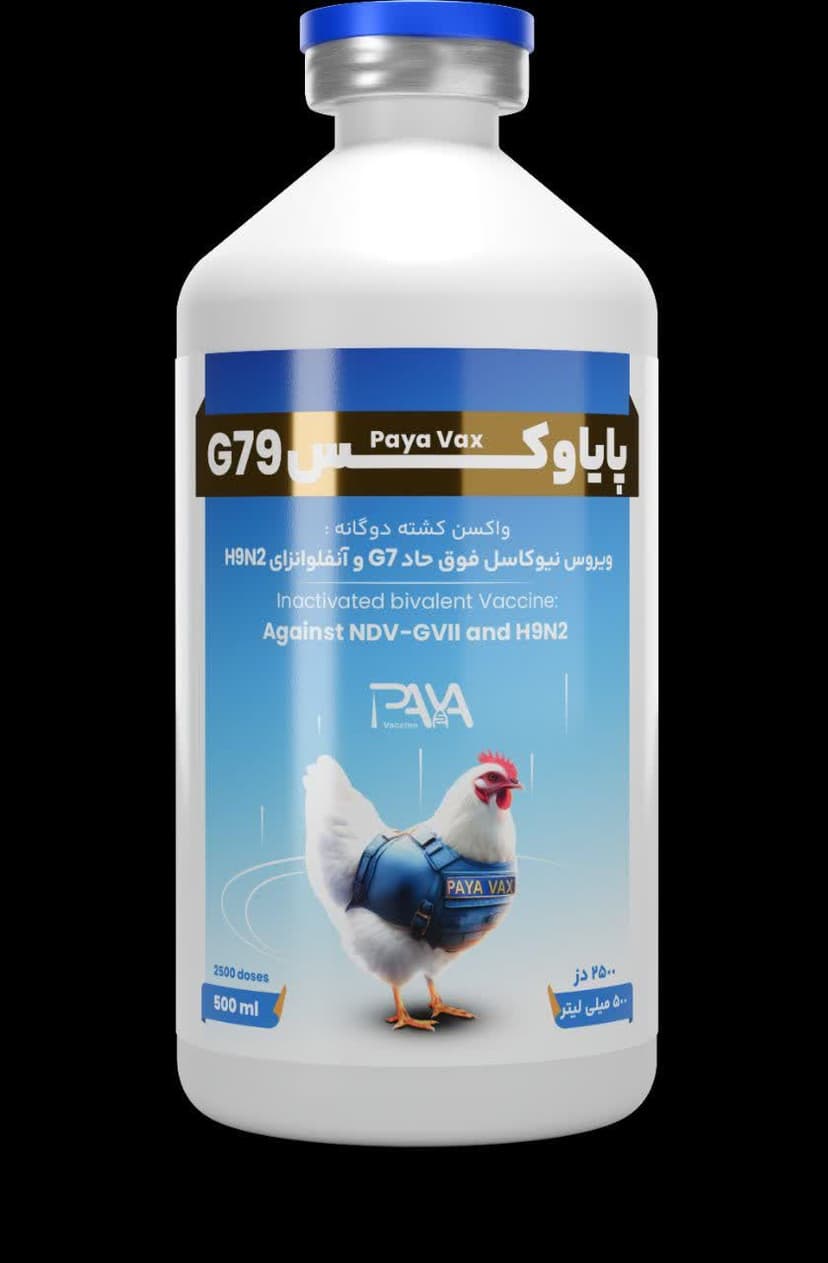 پایاوکس G79