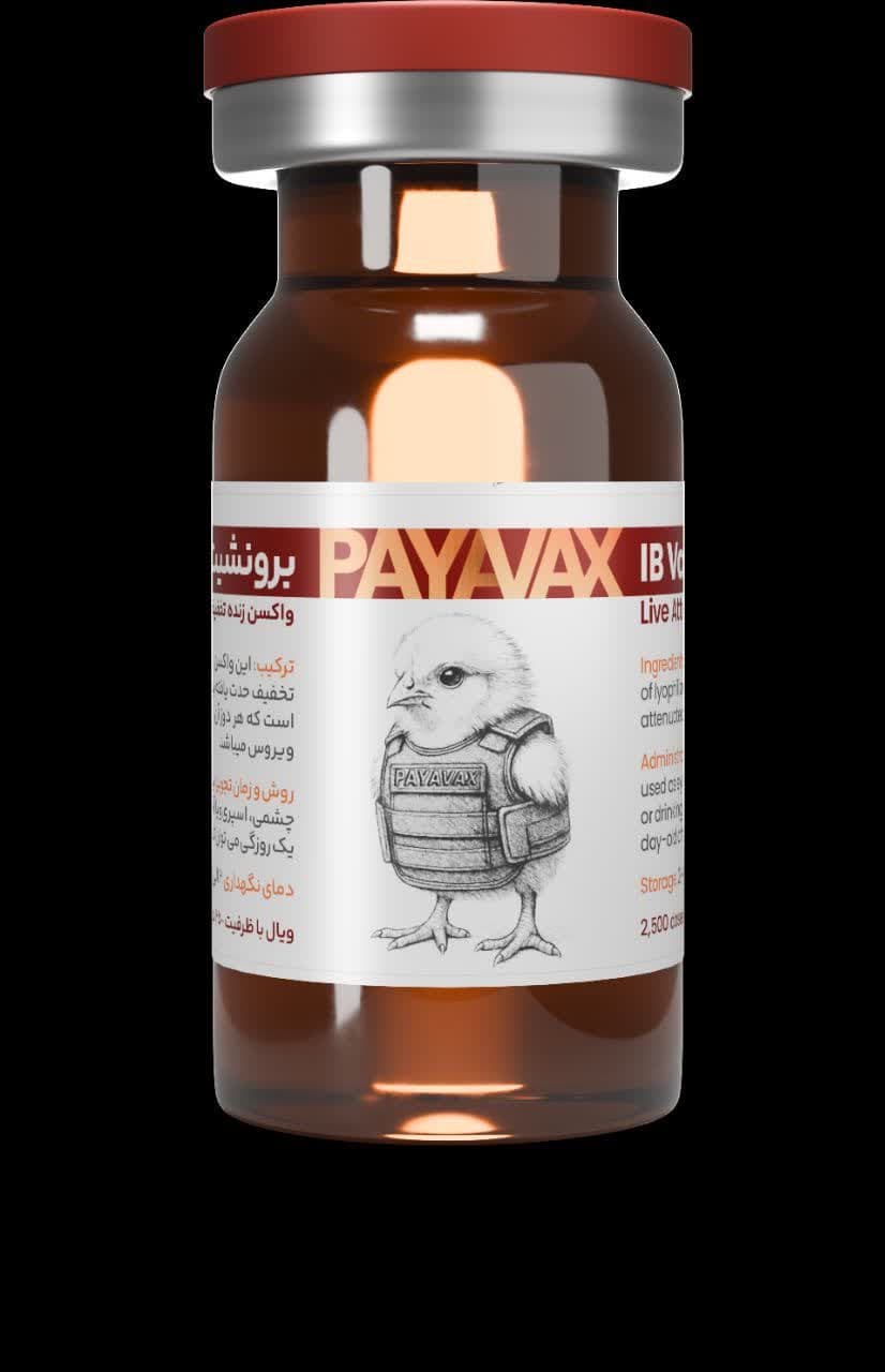 پایاوکس IB Variant 2