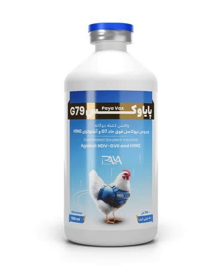 پایاوکس G79